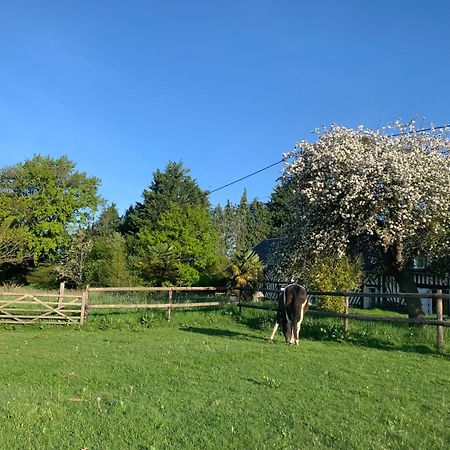 Gite Le Bonheur Est Dans Le Pre Saint-Pierre-Des-Ifs  Dış mekan fotoğraf