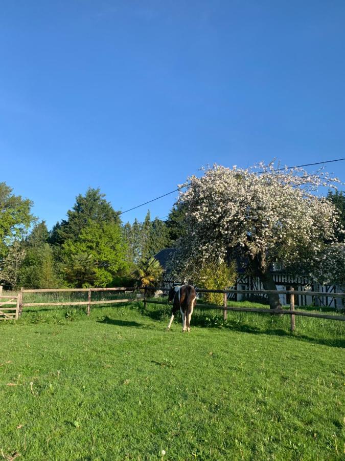 Gite Le Bonheur Est Dans Le Pre Saint-Pierre-Des-Ifs  Dış mekan fotoğraf